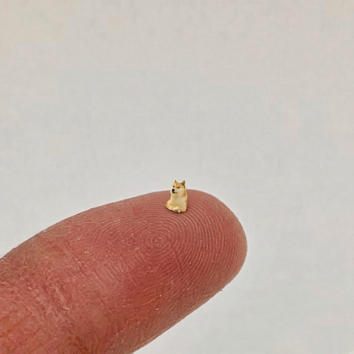 Tiny shiba balanced on a fingertip
